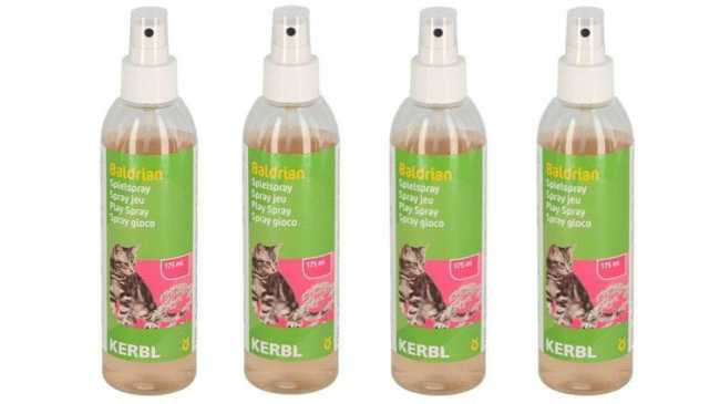 Spray Das Katzen Nicht An Möbel Gehen www.tierschutz-laden.de